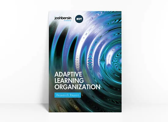 Adaptive Learning Organizations Report