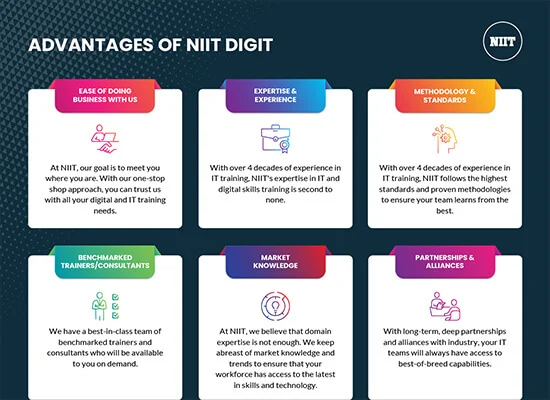 Eight Advantages of NIIT Digit