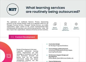 What Do Companies Outsource?