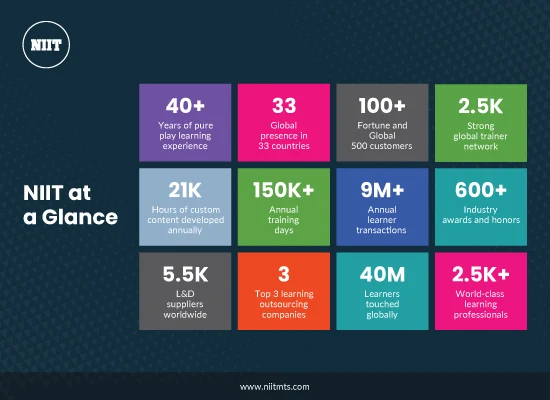 NIITIG-NIIT-At-a-Glance