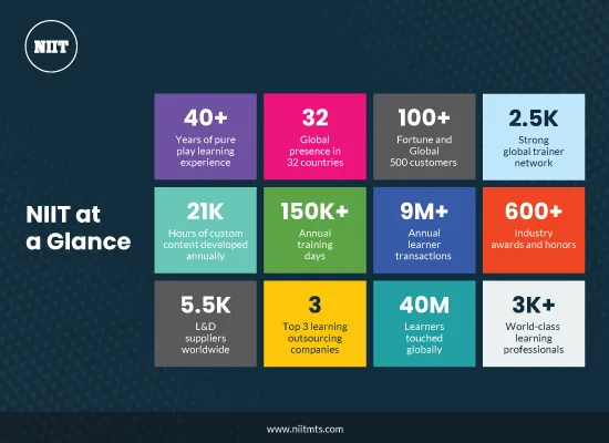 NIITIG_NIIT_at_a_Glance