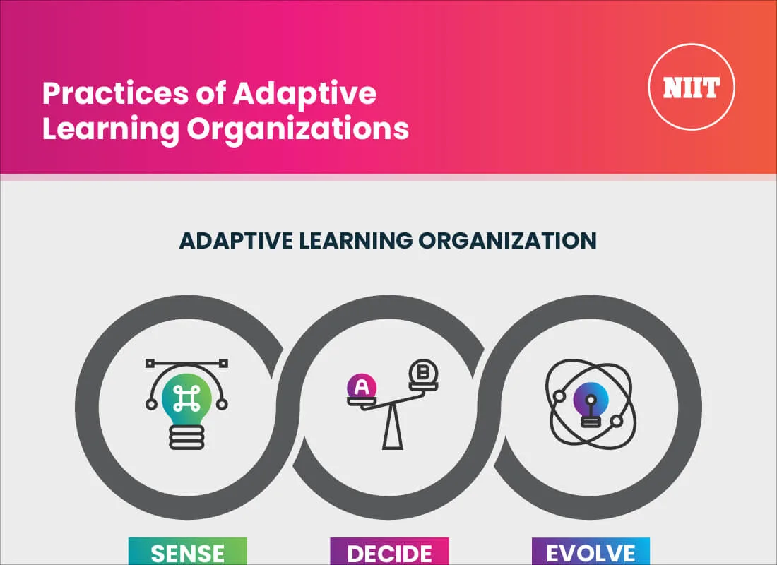 Practices of Adaptive Learning Organizations
