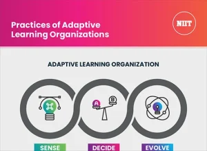 Practices of Adaptive Learning Organizations
