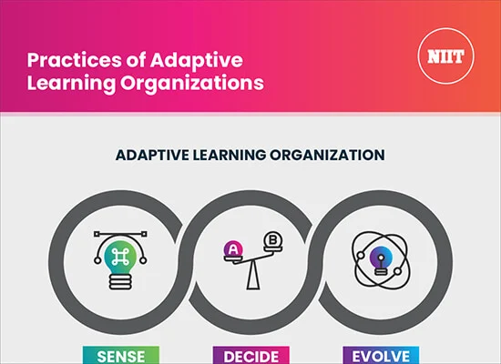 Practices of Adaptive Learning Organizations
