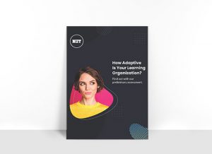Adaptive Learning Organization
