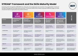 STREAM Framework and the Skills Maturity Model