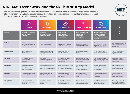 STREAM Framework and the Skills Maturity Model