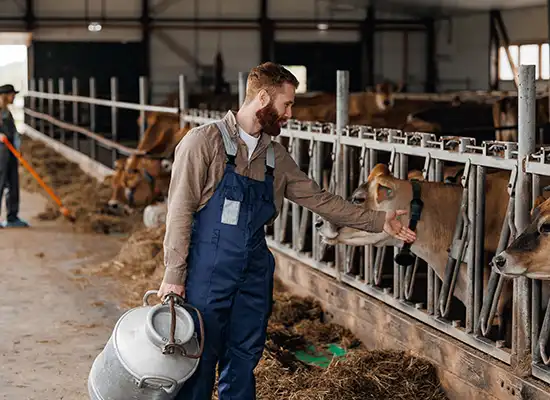 Building-Procurement-Capability-Through-a-Global-Sourcing-Academy