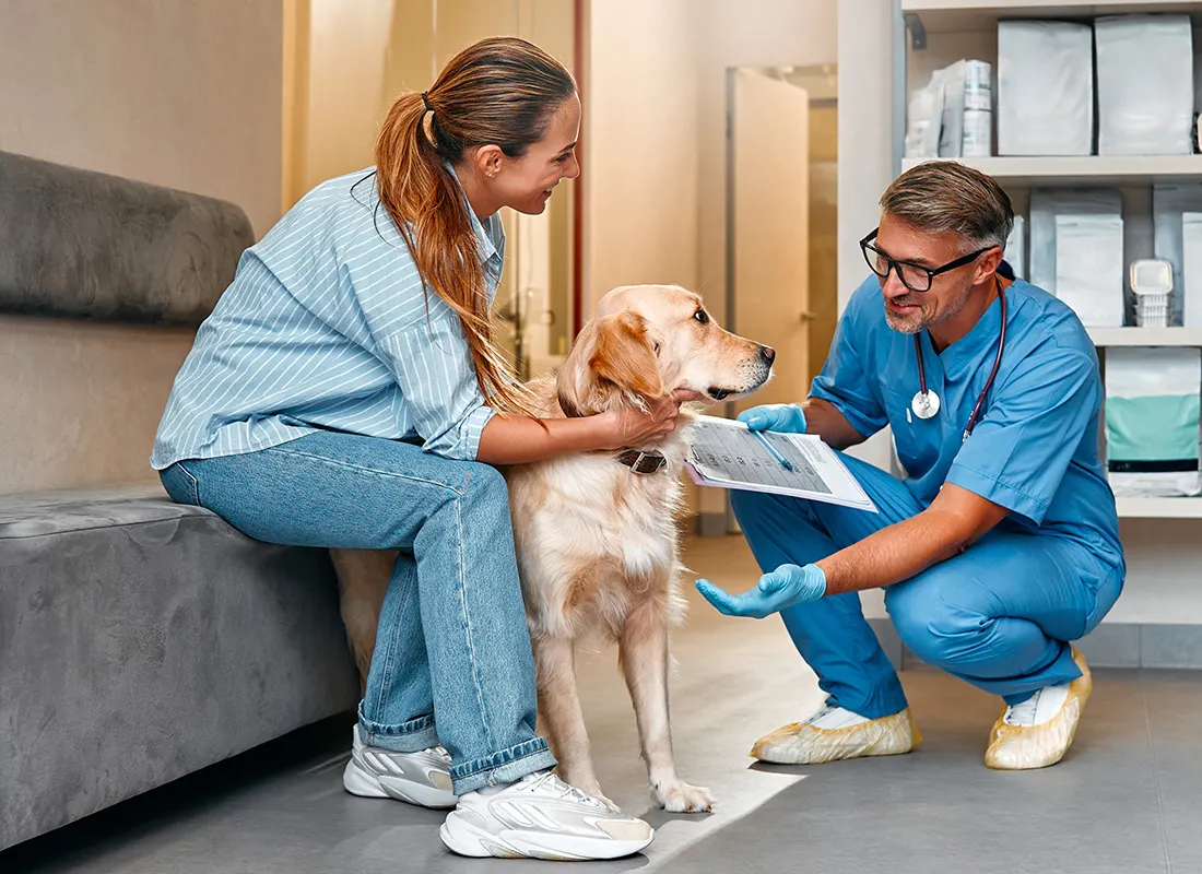 Measuring-Learning-to-Drive-Better-Outcomes-in-Veterinary-Care